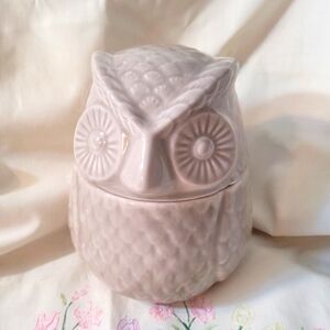 4/$26 Ceramic Owl Canister